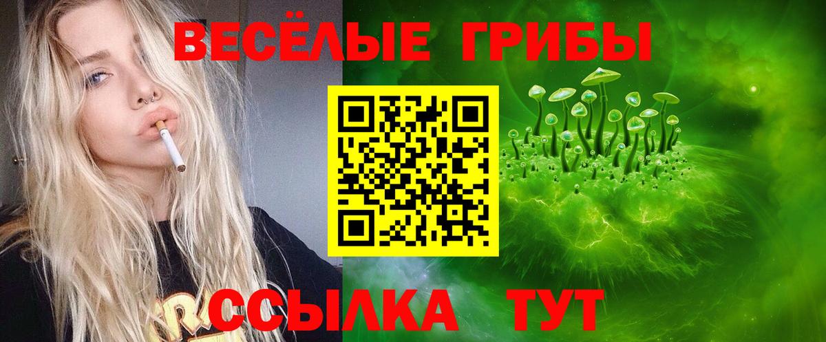 Галлюциногенные грибы Psilocybe  Вход с VPN  Острогожск 